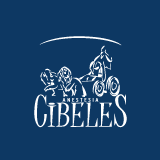Anestesia Cibeles